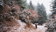 Island Base Camp trekking